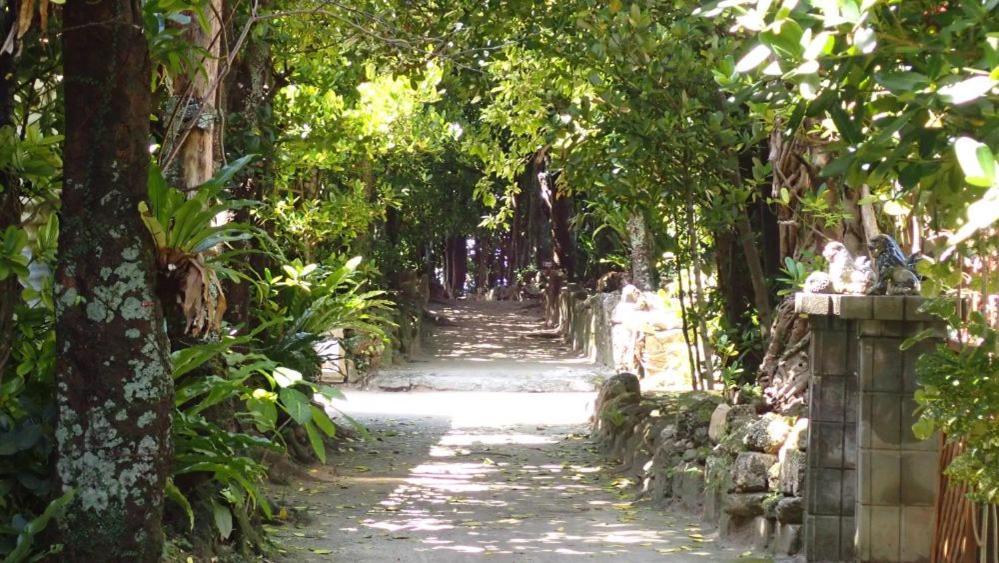 Coral Apartment Onna Bagian luar foto